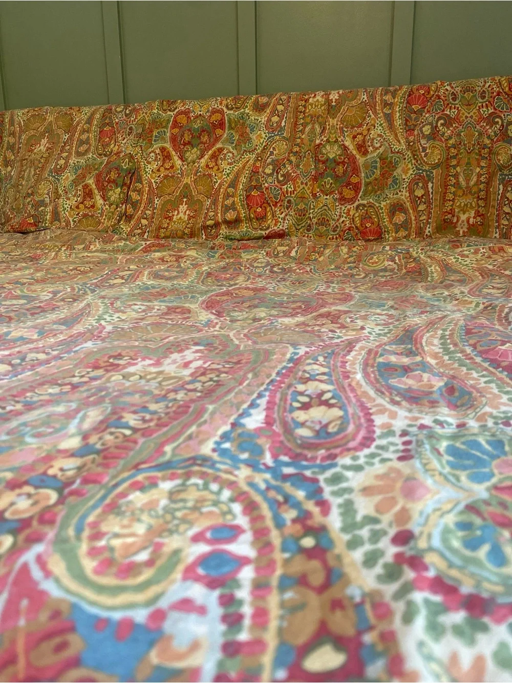 Pottery Barn Warm Paisley King Duvet + 3 Euro Shams